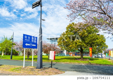 うららかな春空を背景に桜の木と公園風景　観光スポット　道の駅「水辺プラザかもと」 109754111