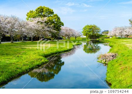 うららかな春空を背景に桜の木と水鏡風景 道の駅「水辺プラザかもと」 うららかな春空を背景に桜の木と水鏡風景 道の駅「水辺プラザかもと」 109754244