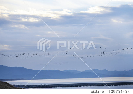 吹上浜 吹上浜 109754458