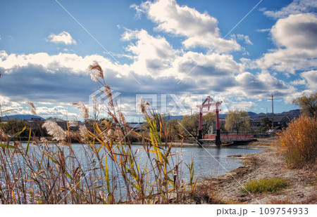 滋賀県大津市の琵琶湖畔に立つ日吉大社の七本柳鳥居 109754933