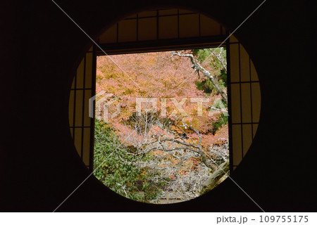 悟りの窓　雲龍院　秋 109755175