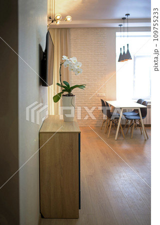 Small room with a sofa and kitchen set. Interior living room and kitchen. Interior of compact small house. Interior cottage Cooking area next to sofa. white orchid in a pot stands in the living room 109755233