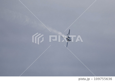岐阜航空祭2023ブルーインパルス アクロバット飛行 3 岐阜航空祭2023ブルーインパルス アクロバット飛行 3 109755636