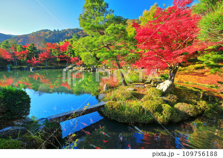 【京都府】シンメトリーな嵐山天龍寺の紅葉(曹源池庭園) 【京都府】シンメトリーな嵐山天龍寺の紅葉(曹源池庭園) 109756188