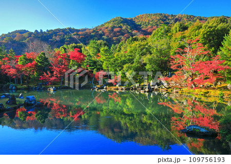 【京都府】シンメトリーな嵐山天龍寺の紅葉（曹源池庭園） 109756193