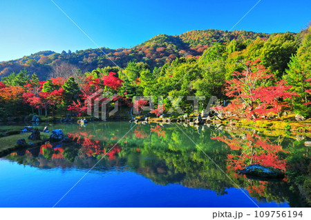 【京都府】シンメトリーな嵐山天龍寺の紅葉(曹源池庭園) 【京都府】シンメトリーな嵐山天龍寺の紅葉(曹源池庭園) 109756194