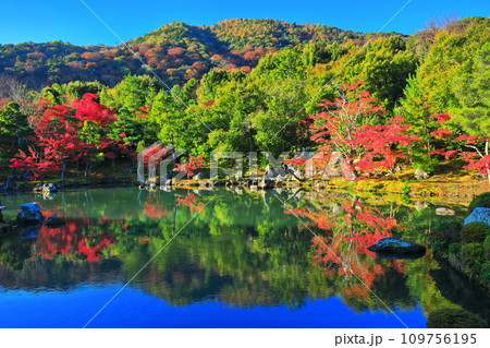 【京都府】シンメトリーな嵐山天龍寺の紅葉（曹源池庭園） 109756195