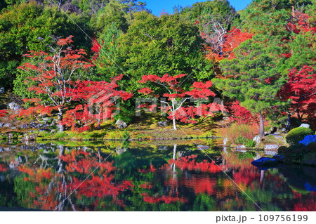 【京都府】シンメトリーな嵐山天龍寺の紅葉(曹源池庭園) 【京都府】シンメトリーな嵐山天龍寺の紅葉(曹源池庭園) 109756199