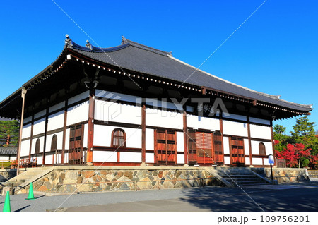 【京都府】快晴の天龍寺法堂 109756201