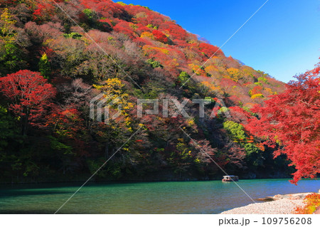 【京都府】晴天の紅葉の嵐山（桂川の嵐峡　保津峡） 109756208