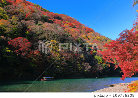 【京都府】晴天の紅葉の嵐山（桂川の嵐峡　保津峡） 109756209