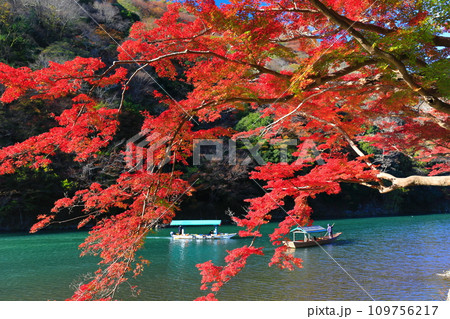 【京都府】晴天の紅葉の嵐山（桂川の嵐峡　保津峡） 109756217