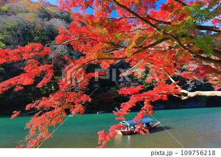 【京都府】晴天の紅葉の嵐山(桂川の嵐峡 保津峡) 【京都府】晴天の紅葉の嵐山(桂川の嵐峡 保津峡) 109756218