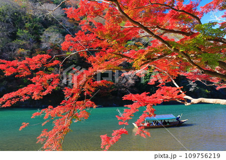 【京都府】晴天の紅葉の嵐山(桂川の嵐峡 保津峡) 【京都府】晴天の紅葉の嵐山(桂川の嵐峡 保津峡) 109756219
