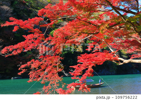 【京都府】晴天の紅葉の嵐山（桂川の嵐峡　保津峡） 109756222