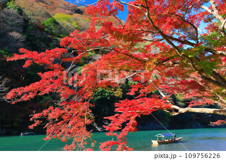 【京都府】晴天の紅葉の嵐山（桂川の嵐峡　保津峡） 109756226