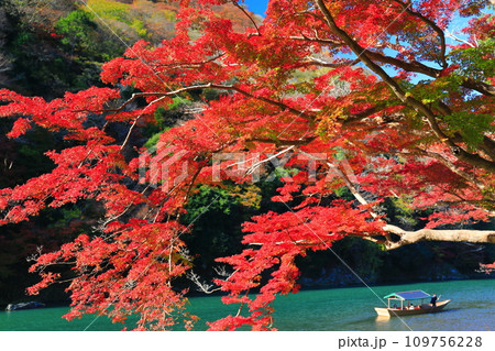 【京都府】晴天の紅葉の嵐山（桂川の嵐峡　保津峡） 109756228