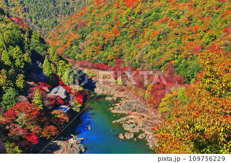 【京都府】晴天の紅葉の保津川下り（嵐山　桂川　嵐峡） 109756229