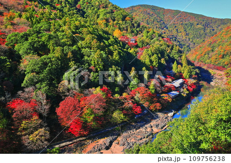 【京都府】晴天の紅葉の保津川下り（嵐山　桂川　嵐峡） 109756238