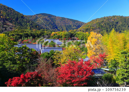 【京都府】快晴の嵐山 天龍寺の紅葉 【京都府】快晴の嵐山 天龍寺の紅葉 109756239