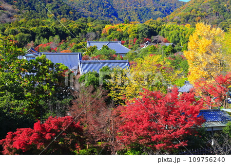 【京都府】快晴の嵐山 天龍寺の紅葉 【京都府】快晴の嵐山 天龍寺の紅葉 109756240