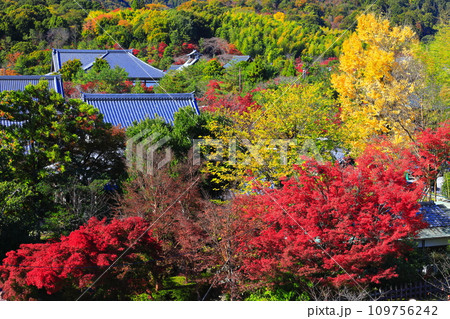 【京都府】快晴の嵐山 天龍寺の紅葉 【京都府】快晴の嵐山 天龍寺の紅葉 109756242