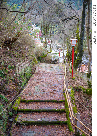 兵庫県 美方郡 新温泉町 湯村温泉 荒湯周辺の景色　2023年1月 109757081