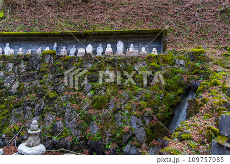兵庫県 美方郡 新温泉町 湯村温泉 荒湯周辺の景色　2023年1月 109757085