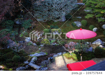 滋賀県大津市の旧竹林院庭園と野点傘 109757644