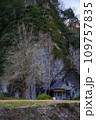 島根県 出雲市 朝山町 岩根寺周辺の景色 2023年1月 島根県 出雲市 朝山町 岩根寺周辺の景色 2023年1月 109757835