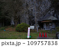 島根県 出雲市 朝山町 岩根寺周辺の景色 2023年1月 島根県 出雲市 朝山町 岩根寺周辺の景色 2023年1月 109757838