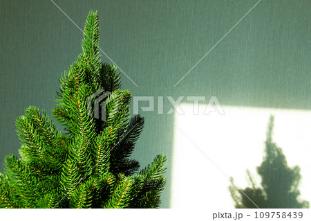 Green Christmas tree and a shadow on the wall. Beautiful Christmas background. Lush green spruce with beautiful long needles. New Year background. Close-up. Natural nature. Holiday event. Abstract Green Christmas tree and a shadow on the wall. Beautiful Christmas background. Lush green spruce with beautiful long needles. New Year background. Close-up. Natural nature. Holiday event. Abstract 109758439