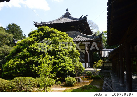 鹿王院の「舎利殿(左)」と「客殿(右)」（京都市右京区嵯峨北堀町） 109759897