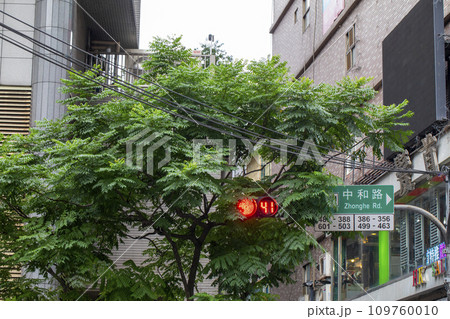 信号 信号機 合図 109760010