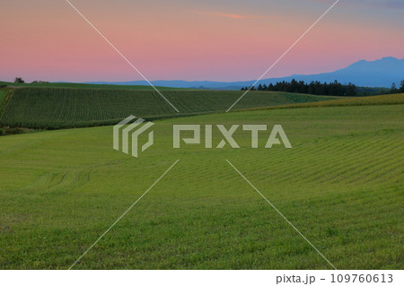 北海道上川郡美瑛町 赤麦の丘付近の丘陵地帯に広がる草原や畑と夕焼け空の風景 北海道上川郡美瑛町 赤麦の丘付近の丘陵地帯に広がる草原や畑と夕焼け空の風景 109760613