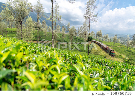 スリランカ中央高地の鉄道 109760719