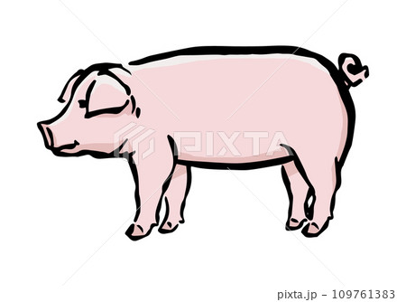 豚のシンプルなイラスト（ランドレース種） 109761383