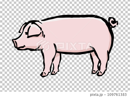 豚のシンプルなイラスト（ランドレース種） 109761383
