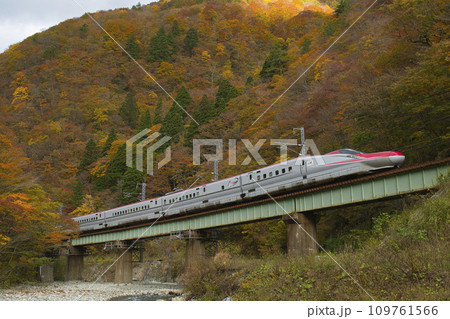 秋田新幹線 E6 秋田新幹線 E6 109761566