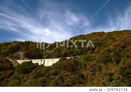 秋の仙岩峠 109762136