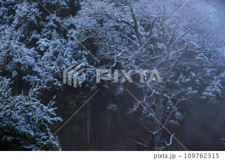 地獄谷温泉の雪景色【下高井郡山ノ内町】 地獄谷温泉の雪景色【下高井郡山ノ内町】 109762315