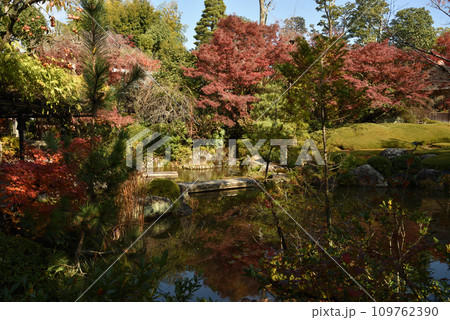 余香苑 退蔵院 妙心寺 秋 余香苑 退蔵院 妙心寺 秋 109762390