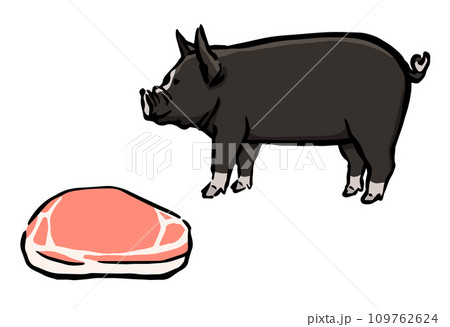 豚肉と黒豚のイラスト 109762624