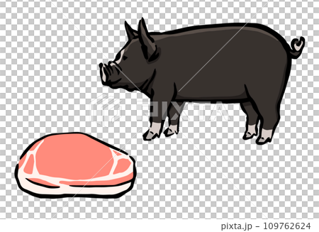 豬肉和黑豬的插圖 109762624