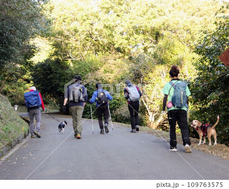 犬連れグループ登山 犬連れグループ登山 109763575