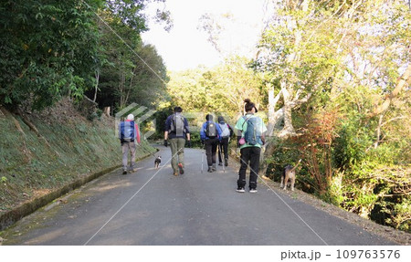 犬連れグループ登山 犬連れグループ登山 109763576