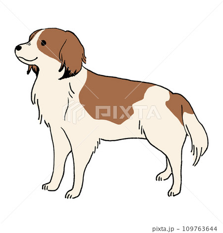 コーイケルホンディエ 109763644