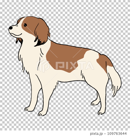 コーイケルホンディエ 109763644