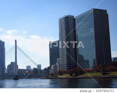 隅田川に架かる「中央大橋」と東京都中央区の風景 109764231