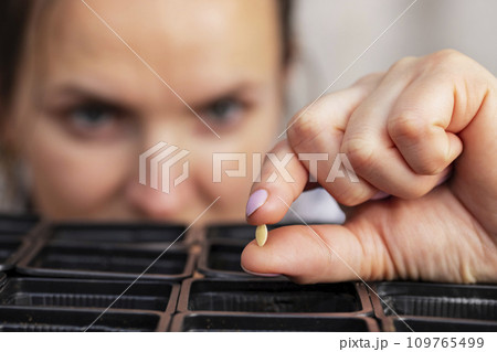 Woman hold a small seed ready for sowing in a pot with soil at home 109765499